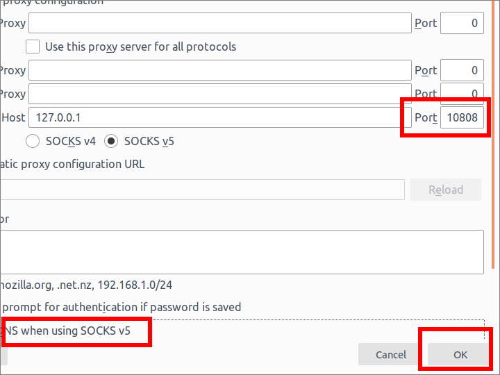 Firefox manual proxy configuration port 10808 proxy DNS when using SOCKS v5